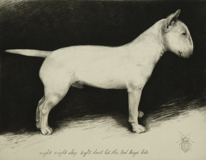 Printed image of a bull terrier